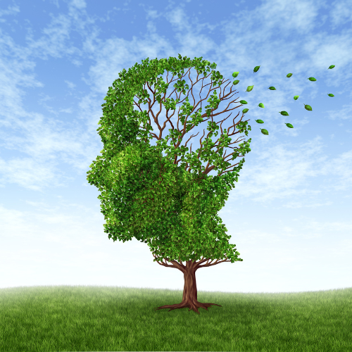  /></div></figure></div></div>
<!-- /wp:essential-blocks/advanced-image -->

<!-- wp:paragraph -->
<p><strong>Executive memory</strong></p>
<!-- /wp:paragraph -->

<!-- wp:paragraph -->
<p>Short-term memory required when solving math problems is a part of executive memory. It is required to input sequential steps in a flow chart or while solving stepwise mathematical calculations.</p>
<!-- /wp:paragraph -->

<!-- wp:paragraph -->
<p>When your child learns mathematical tables recollecting and reflecting his learnings is also an example of short-term memory.</p>
<!-- /wp:paragraph -->

<!-- wp:essential-blocks/advanced-image {